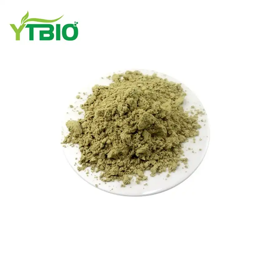 Mate Tea Extract